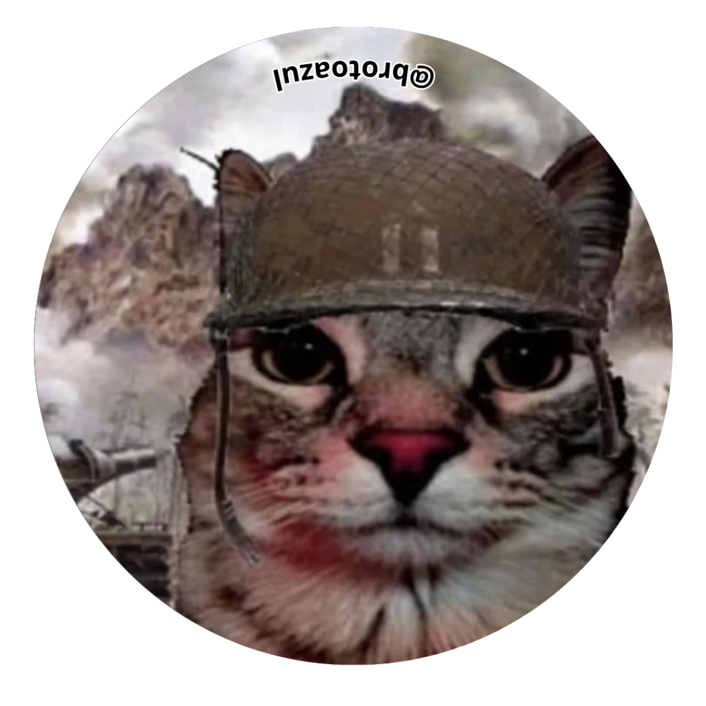 Boton Botton Gato Soldado Meme